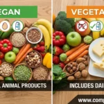 difference between vegan and vegitarian