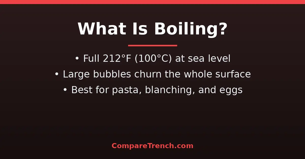 Pot at a full rolling boil with large vigorous bubbles, showing the boil side of the difference between simmer and boil