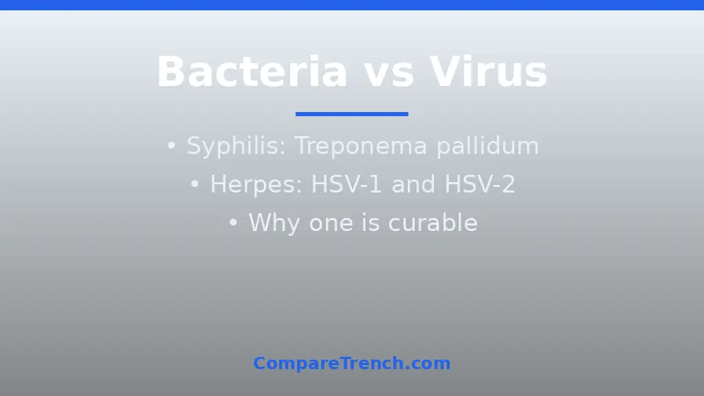 Diagram explaining the difference between syphilis and herpes causes: bacterial infection versus viral infection