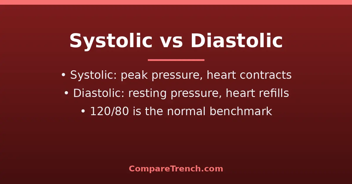 Featured illustration explaining the difference between systolic and diastolic blood pressure