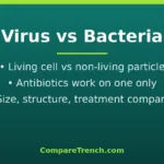 Featured illustration comparing the difference between virus and bacteria