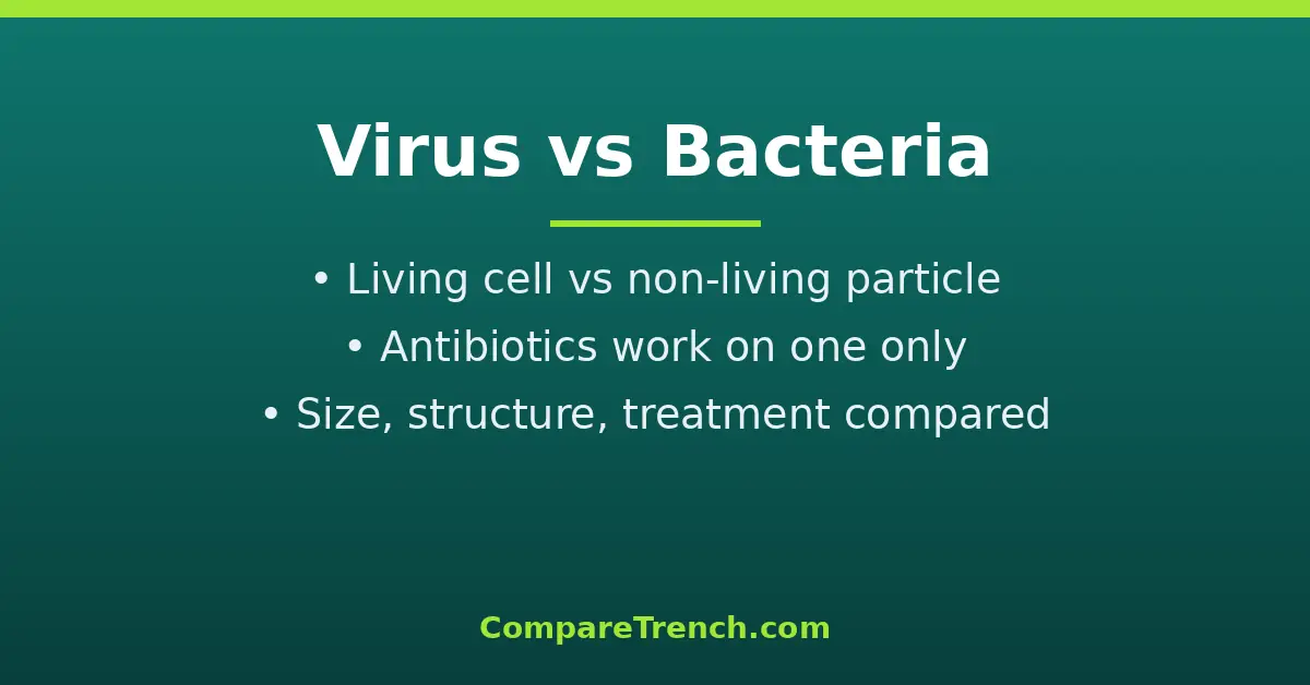Featured illustration comparing the difference between virus and bacteria