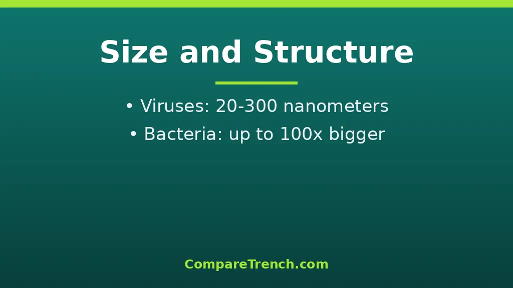Illustration showing the difference between virus and bacteria size and structure