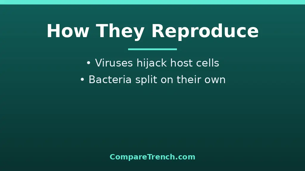 Diagram explaining the difference between virus and bacteria reproduction: host hijacking versus binary fission