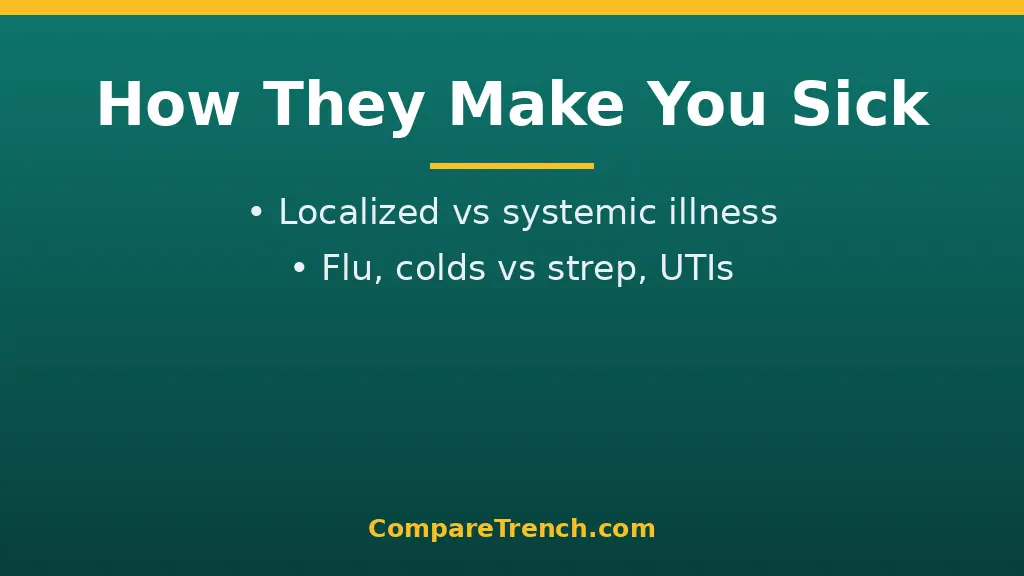 Medical graphic showing the difference between virus and bacteria infections and their symptoms